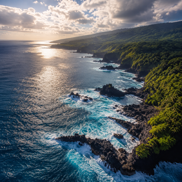 Inspired By The Pacific
